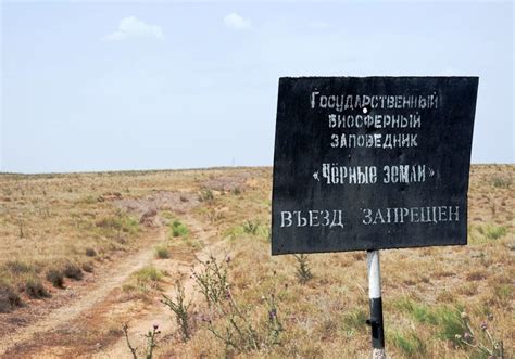 Степь заповедника Чёрные земли